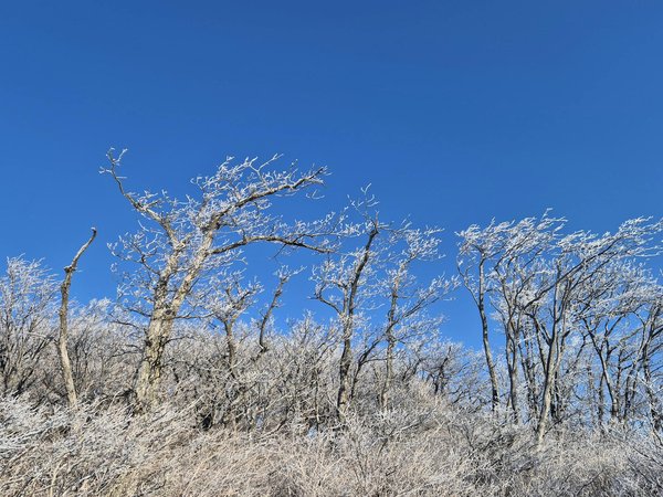 5 risques méconnus de l'alimentation végétarienne
