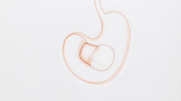 Les bénéfices et limites du contournement gastrique détaillés